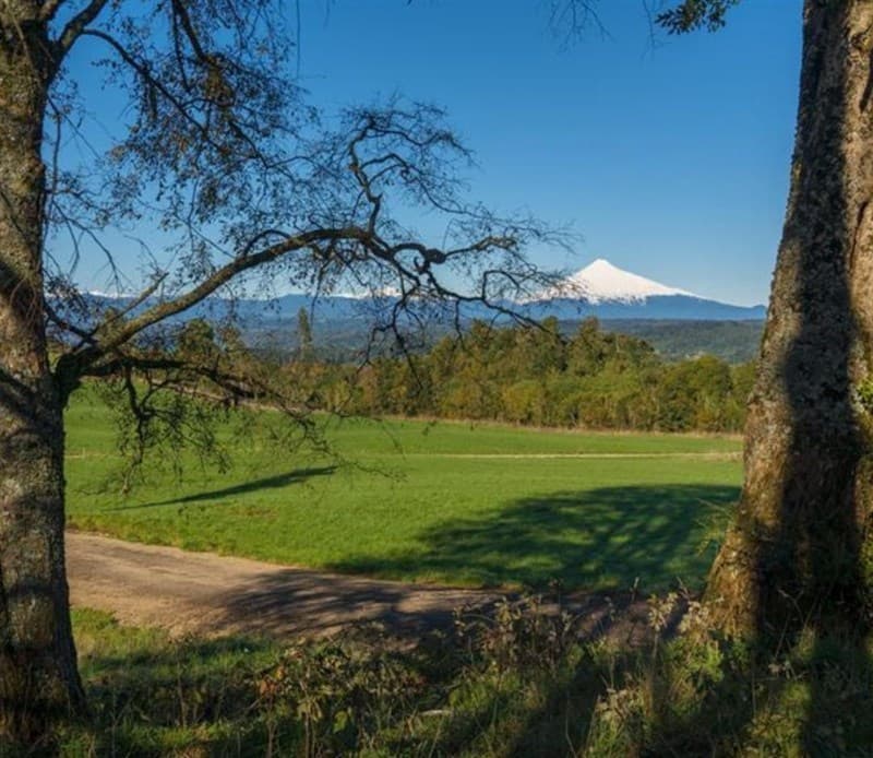 Entre Villarrica y la Ruta 5 sur