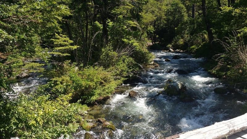 Acceso a Rio Trancura, Pucón hacia paso internacional Mamuil Malal comuna de Curarrehue