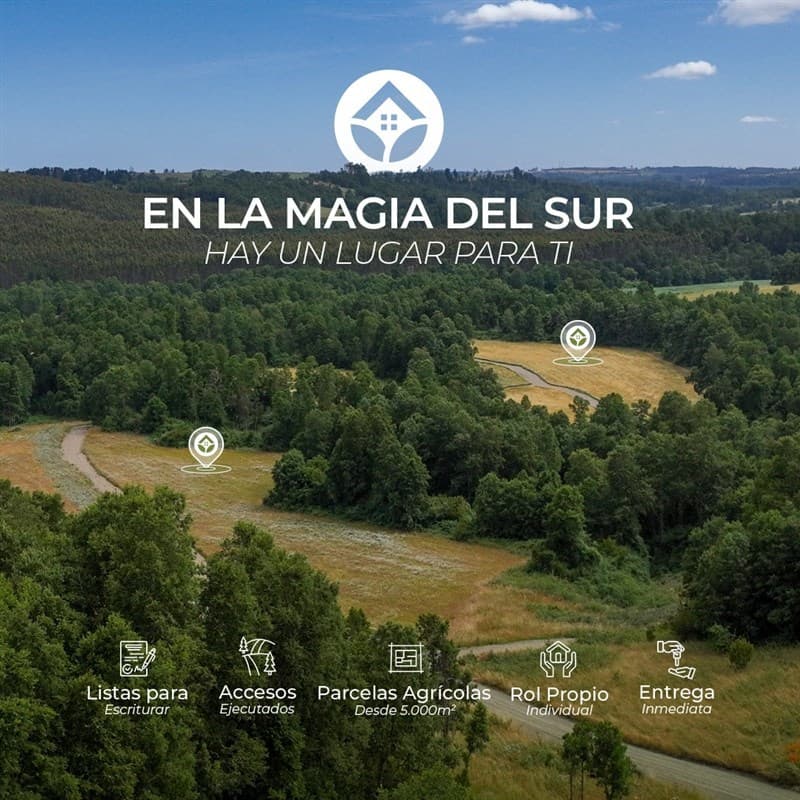 Alta Vista Frutillar