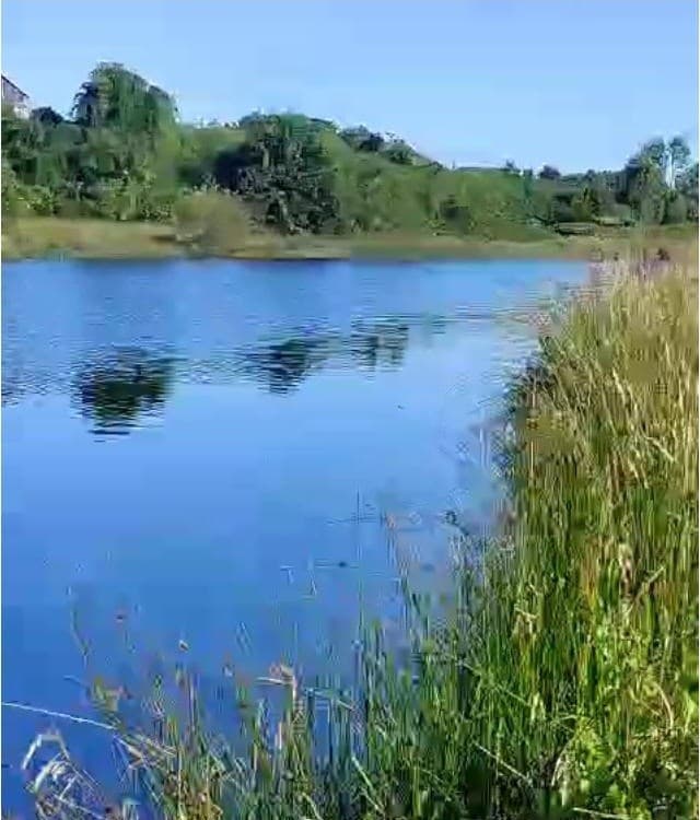 Parcelas Borde rio Huicha 5000 m2, roles independientes