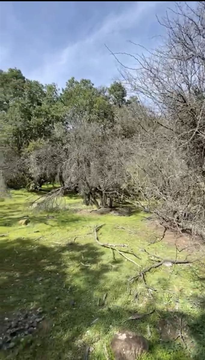 Parcelas en venta ex Fundó La Punta - SOLO CONTADO! 2 LOTES DE 5000 MT2 X POR $30.000.000