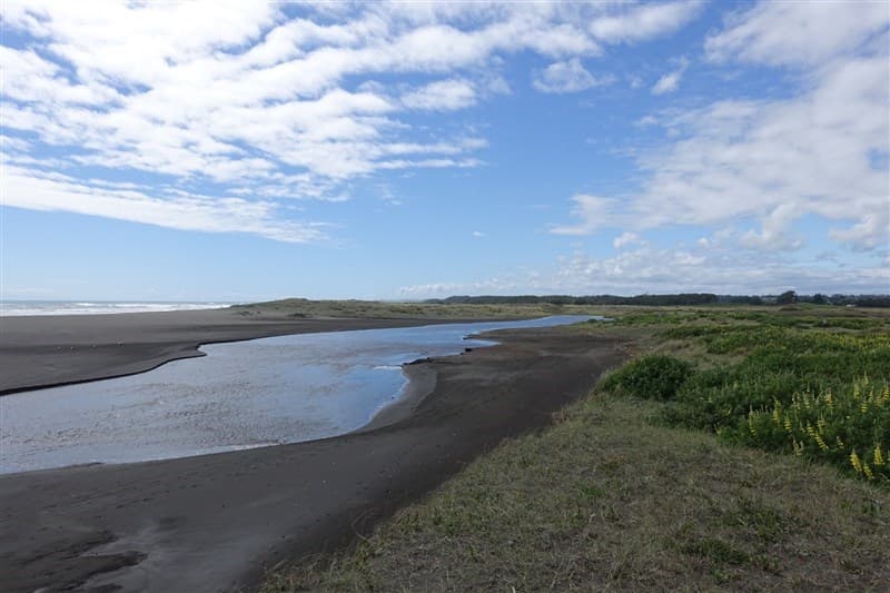 Toltén