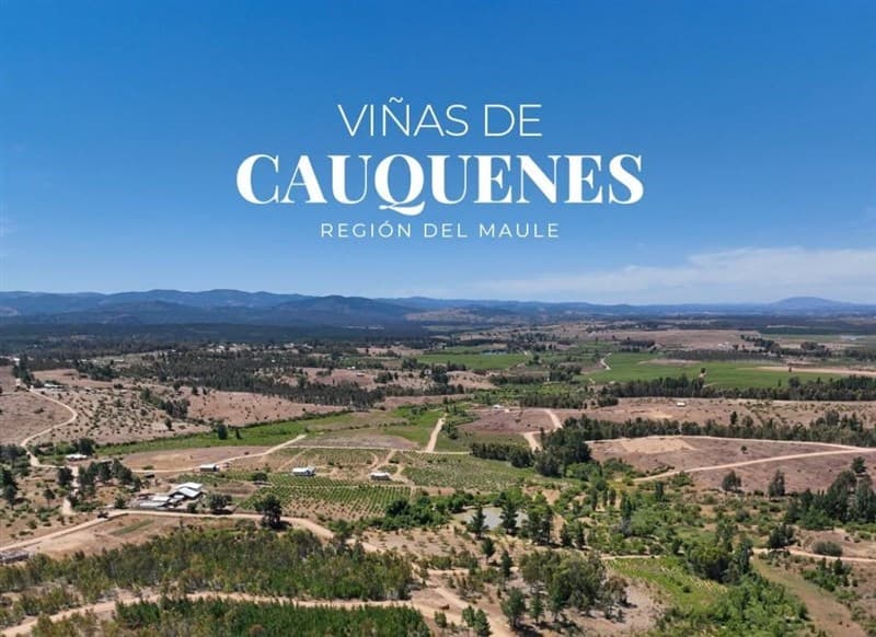 Cauquenes