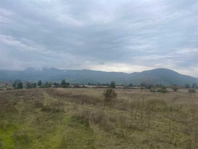 ricon de los muñoces, San clemente