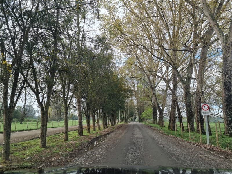 Venta Parcela Loteo Bosques del Tijeral Osorno