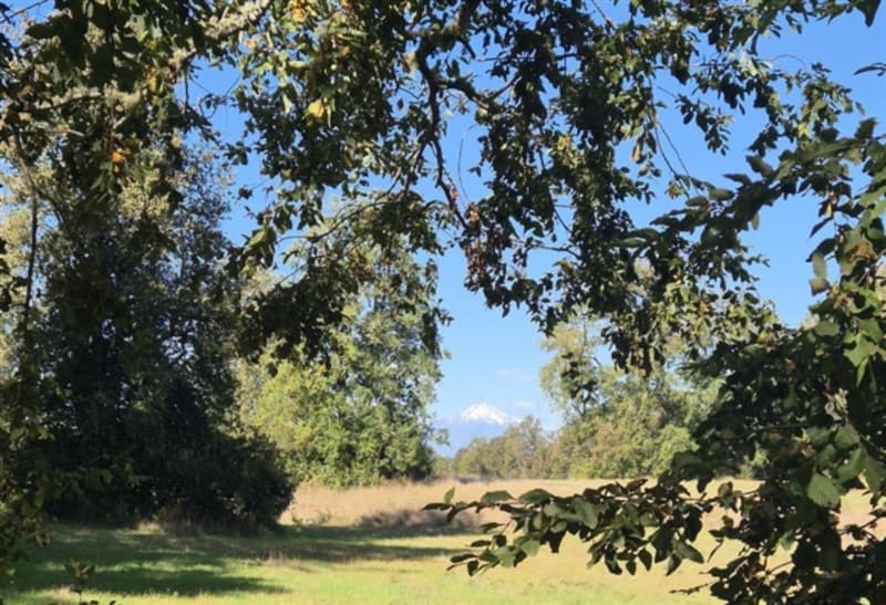 Praderas de Villarrica 