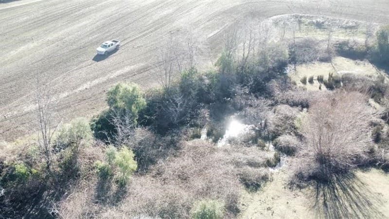 Sector Pueblo Pinto, comuna de Pemuco, Región de Ñuble