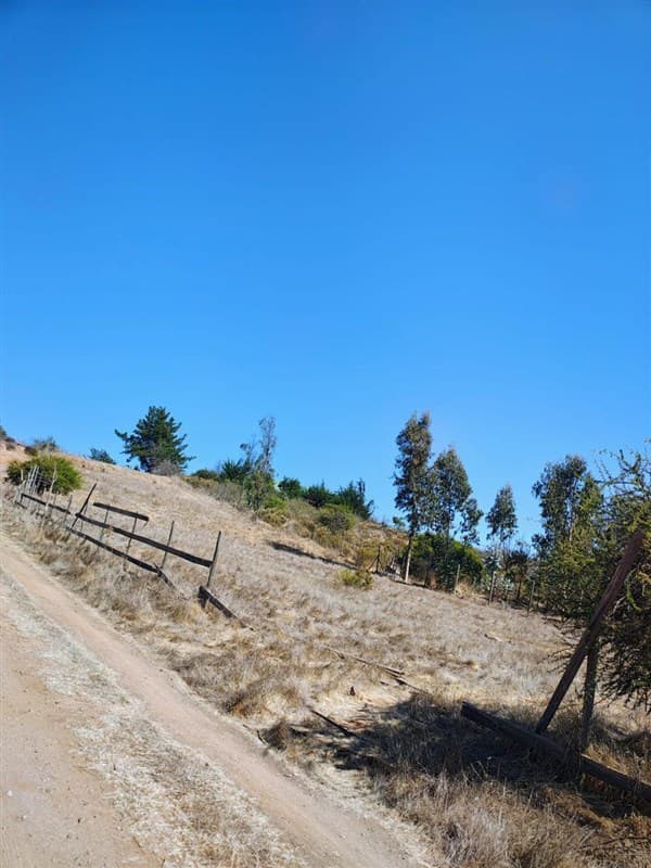 Parcela 8
