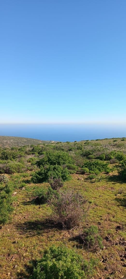 Kilometro 328, Ruta 5 norte