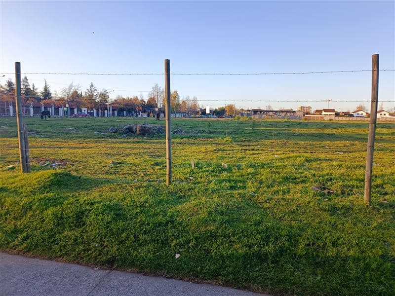 Calle Paul Harris, sector Quilamapu, Chillan 