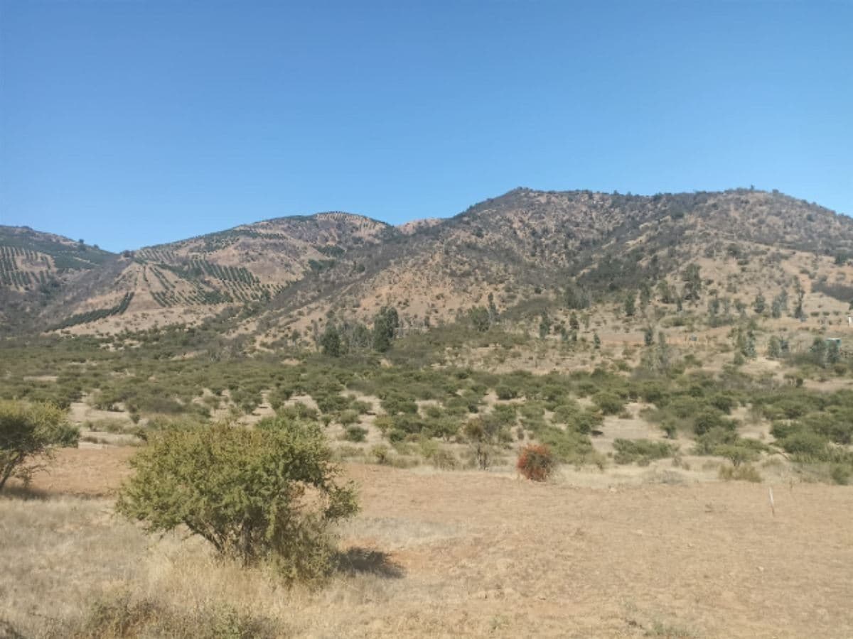 Camino a Los Tricahues