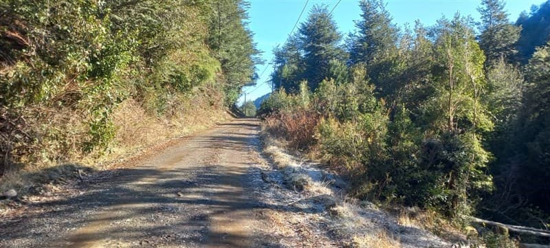 km 12 de la ruta Villarrica–Lican Ray