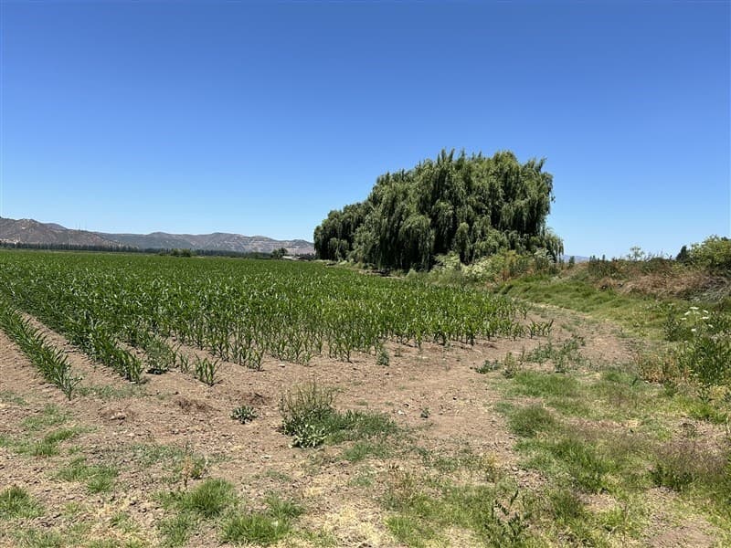 Parcela 30 sector los Rulos 