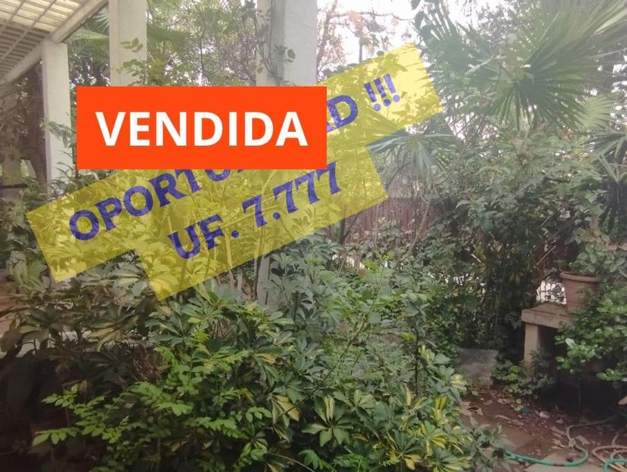 Maira / Av. Lo Barnechea