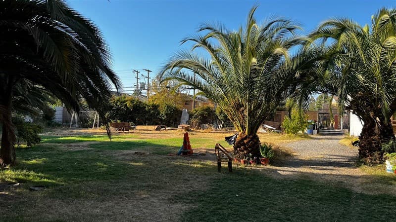 los canelos