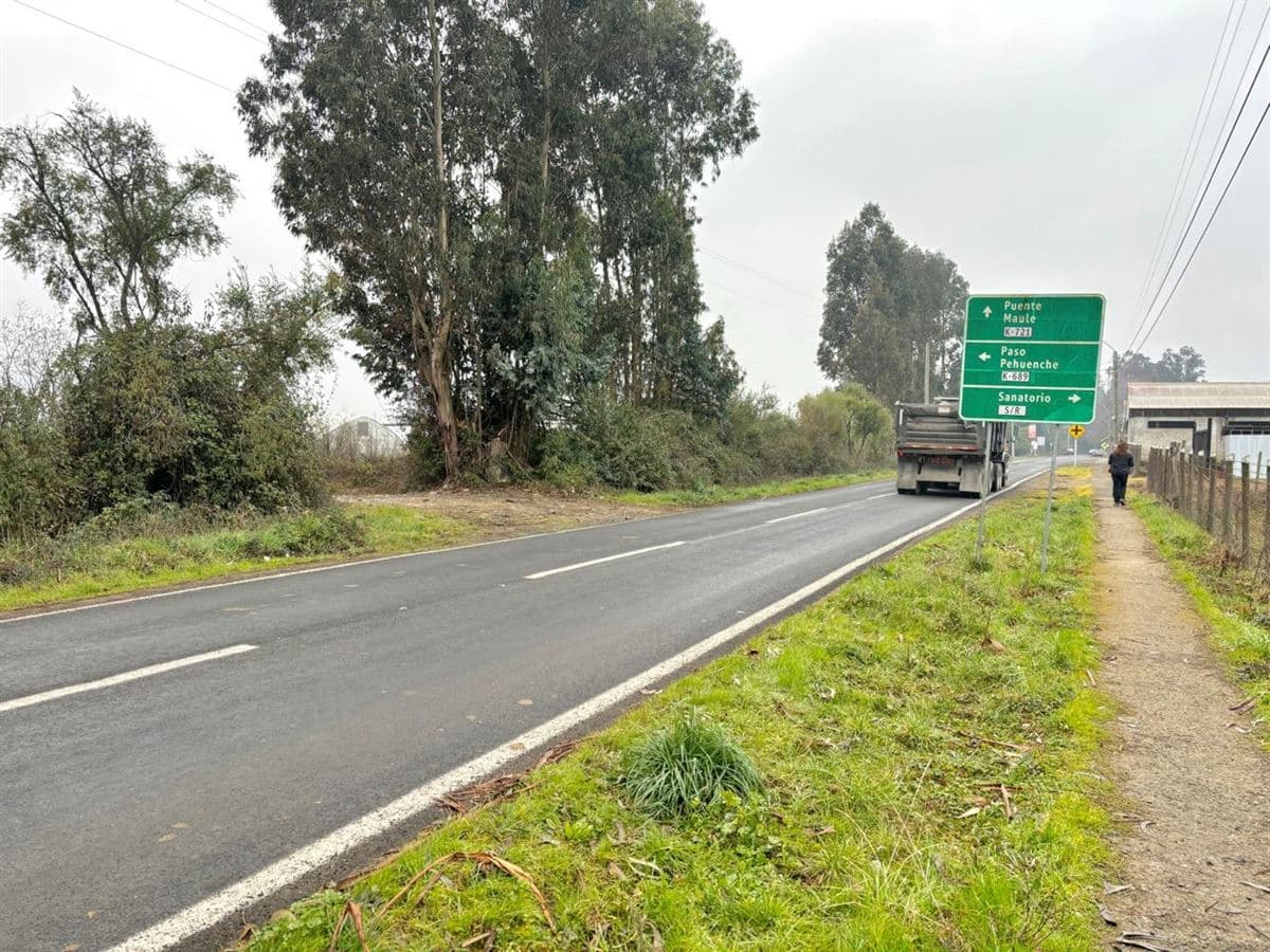 Maitenes - San Clemente