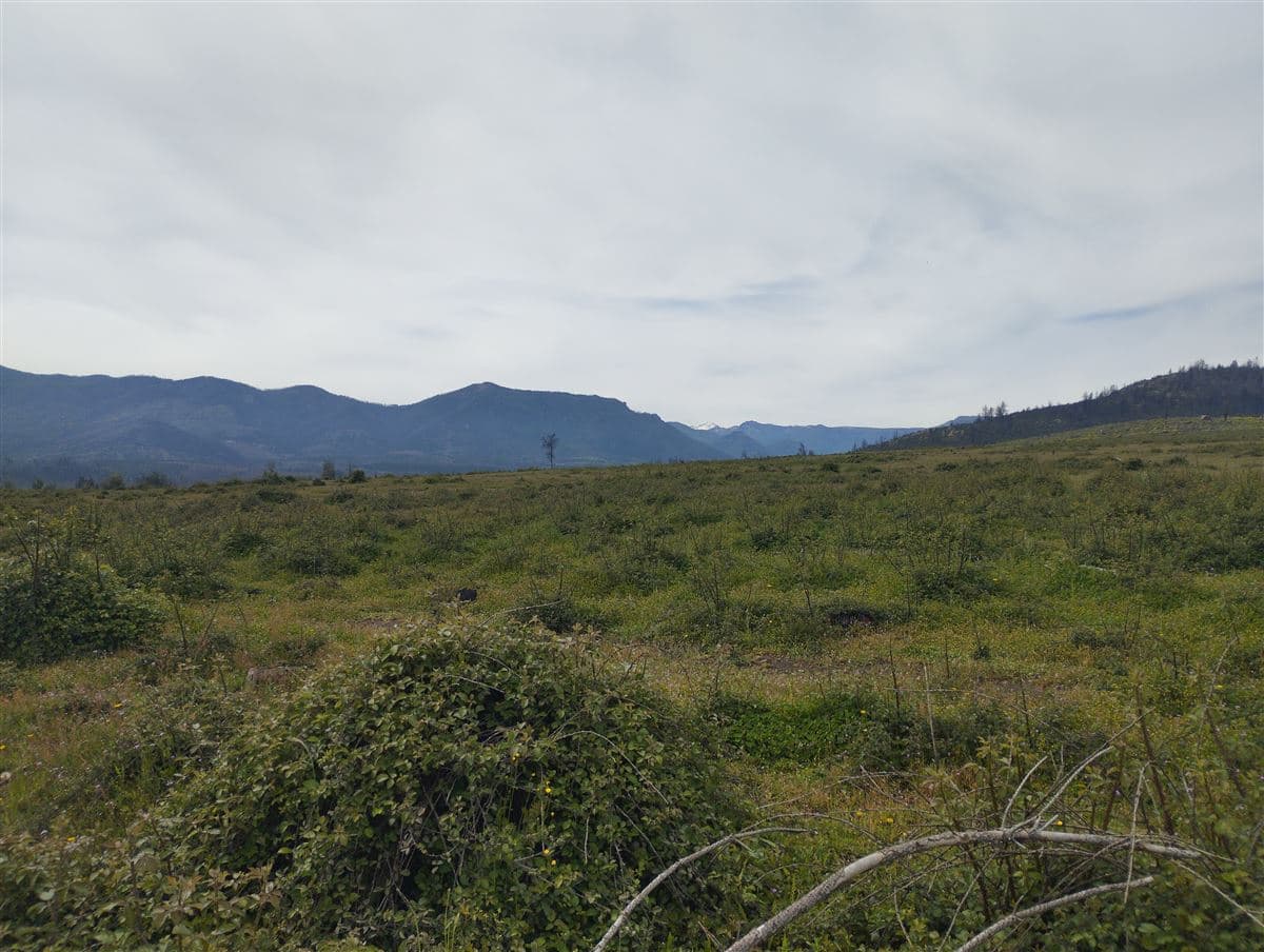 Parcela 22 Unión de Maitenes