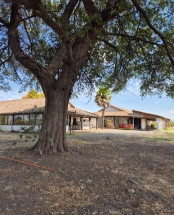 sector El Durazno, Estación Villa Alegre, comuna de Villa Alegre