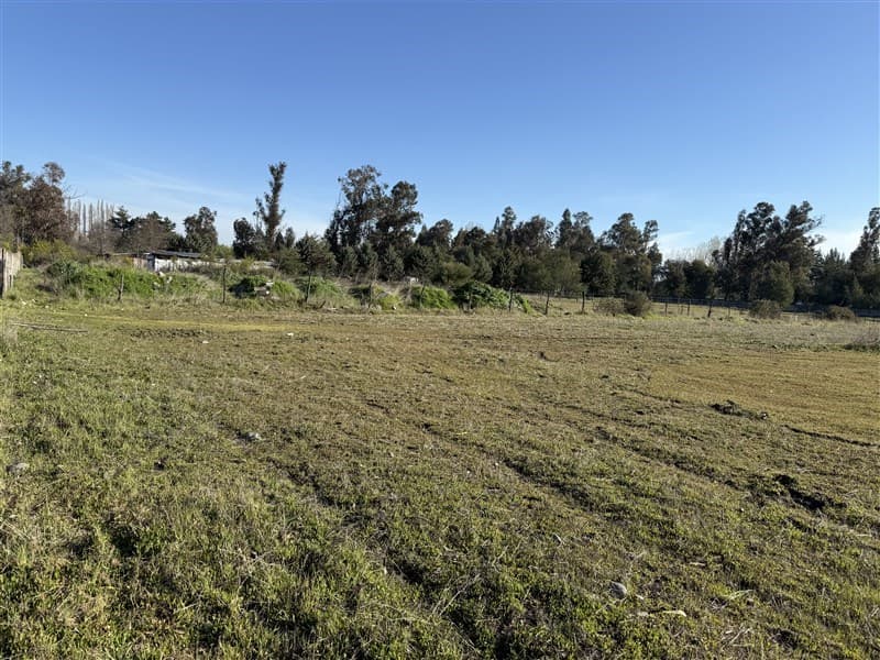 camino pinto kilometro 8 