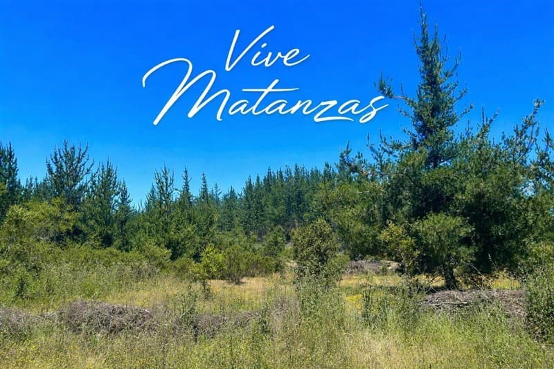 MATANZAS