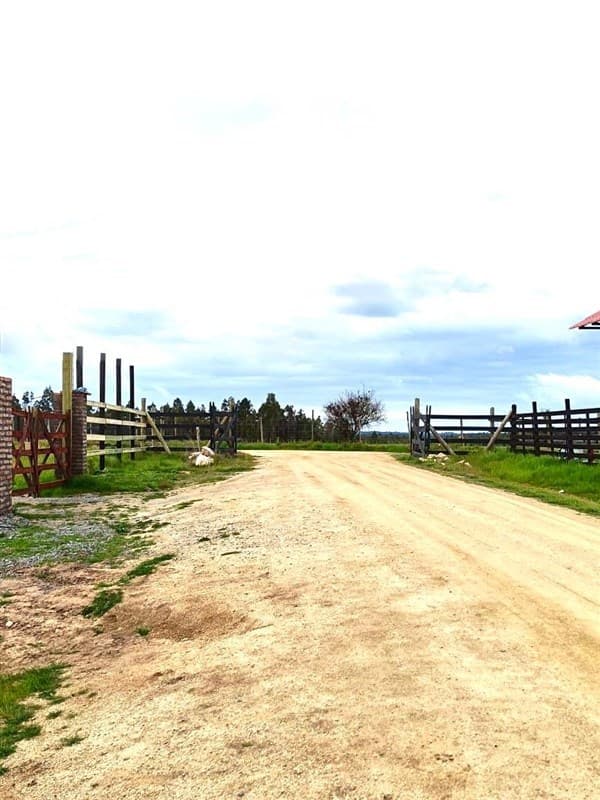 PAILIMO 25 , PARCELA 6. MARCHIGUE