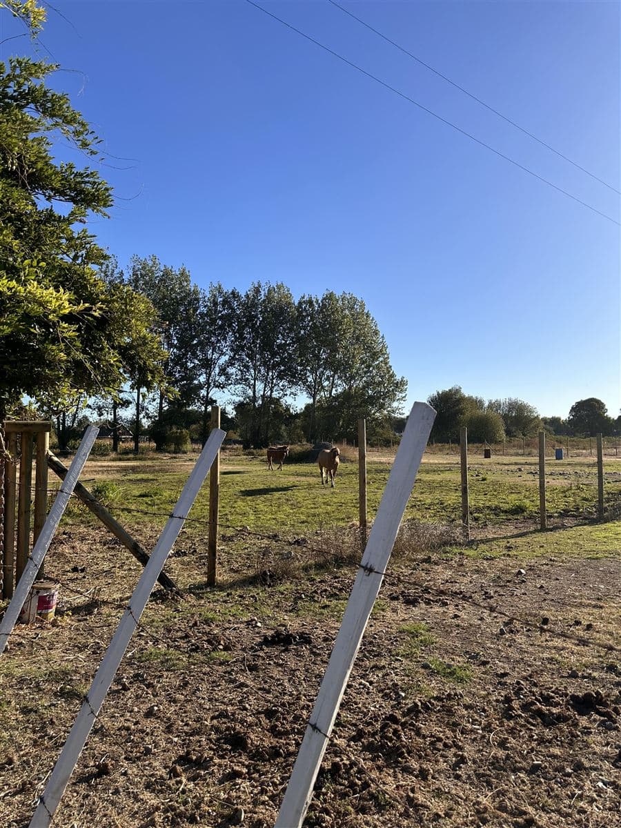 Colonia Bernardo O’higgins 