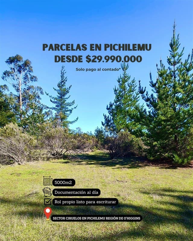 Ciruelos, Pichilemu