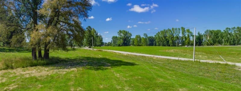 LOS MAITENES DE TOCAMO