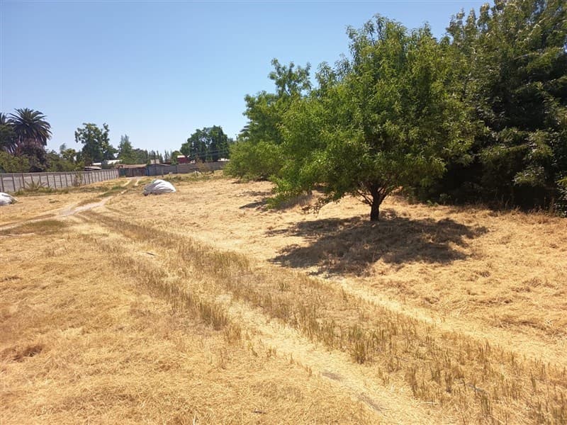 Bajos de San Agustín