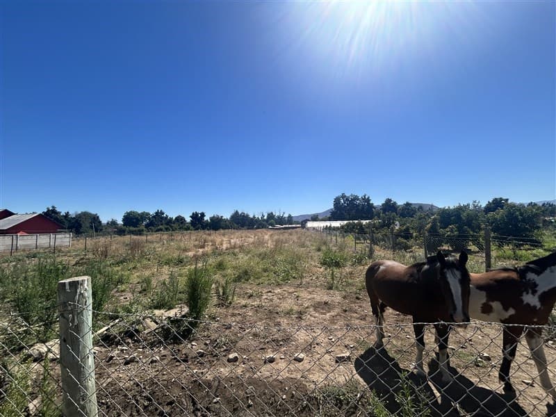 B San Juan parcela 11