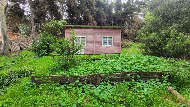 Pedro aldunate solar 270