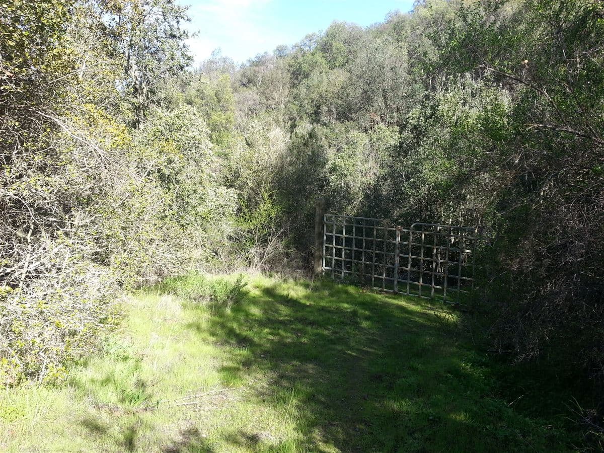 La Aurora / Curacacvi