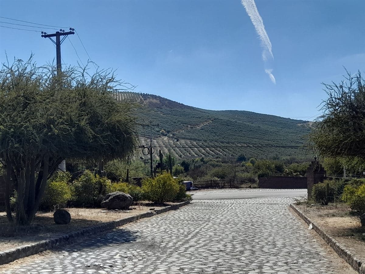 Loteo Lomas de Rauquén