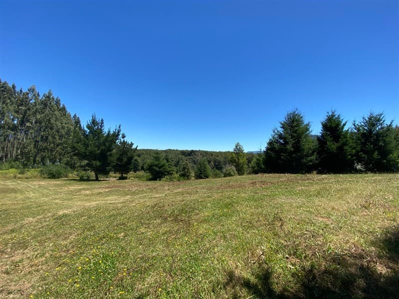 Camino Menetúe, sector Quilaco