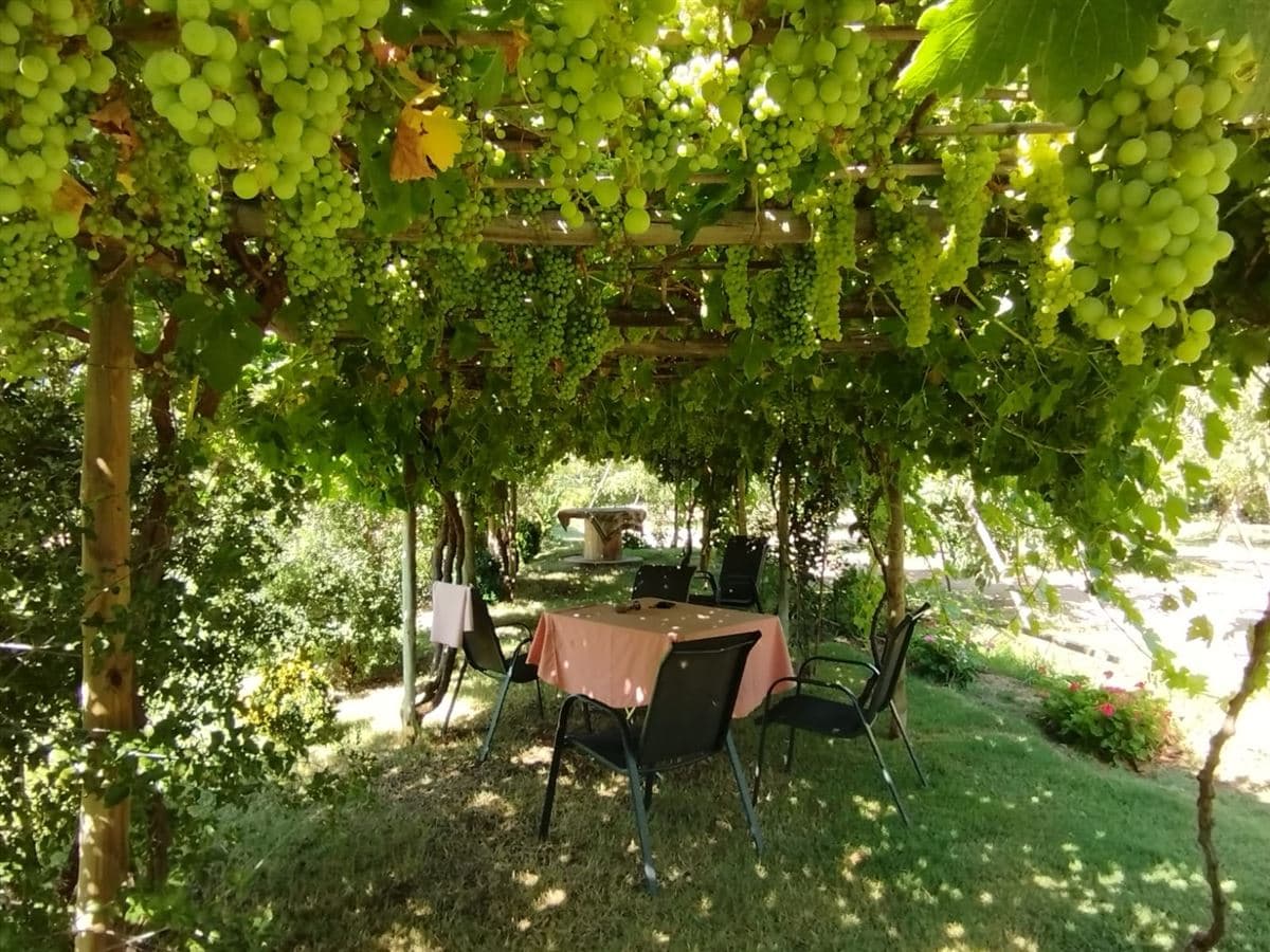 Av el Toro / Condominio el Pangal