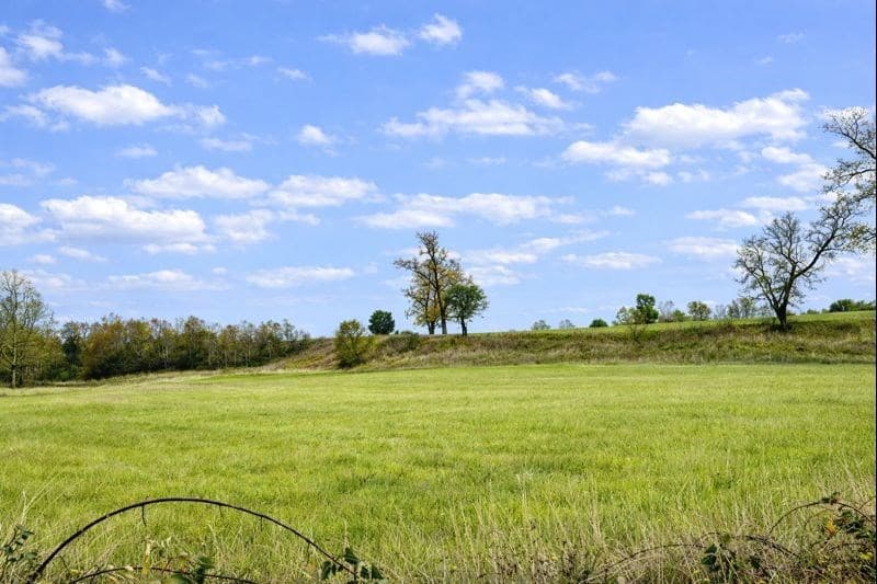 Los Muermos Cañitas