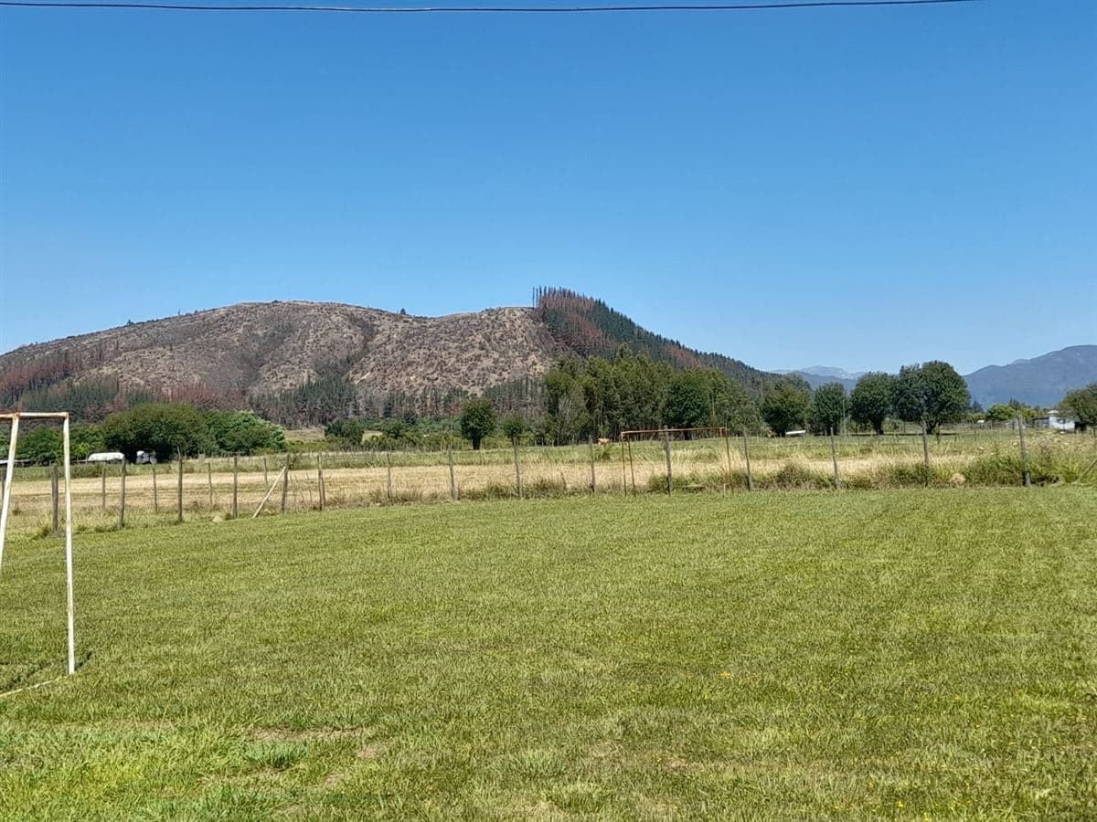 Región del Maule, San Clemente, sector Las Lomillas