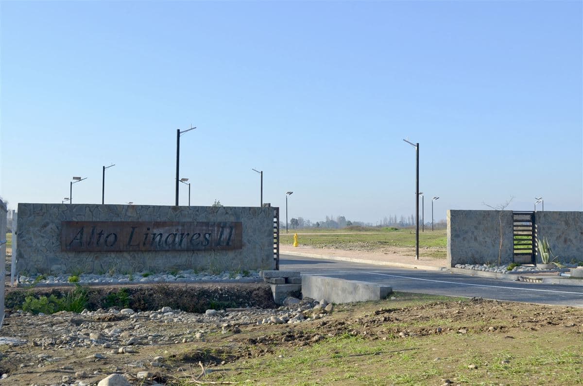 alto linares 2