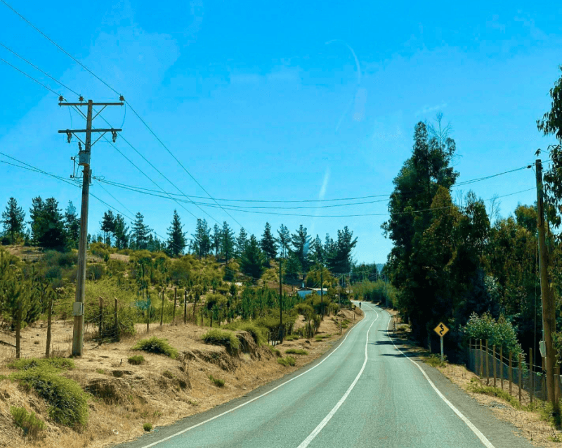 SAN PEDRO DE ALCANTARA 