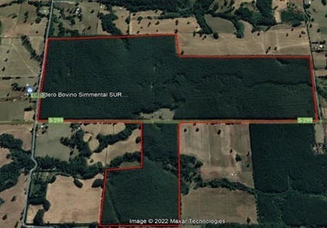 Camino a la Colonia, comuna de Vilcún