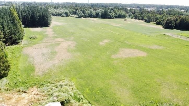 Camino a Nacimiento, comuna de Los Angeles