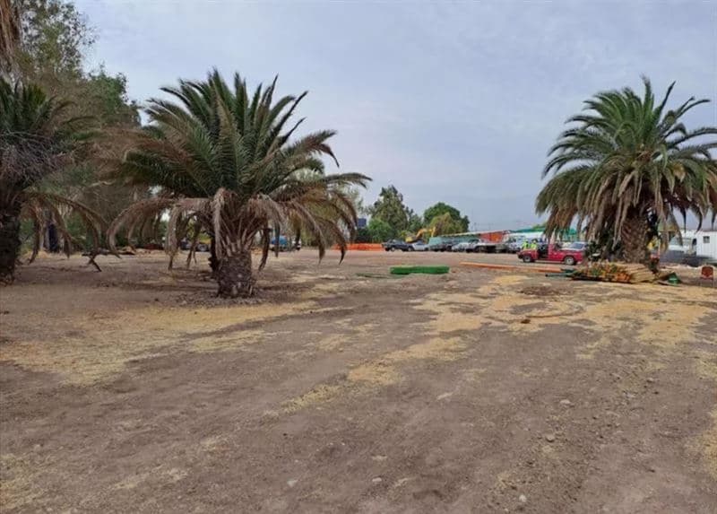 Portezuelo/ Caletera autopista San Martín 