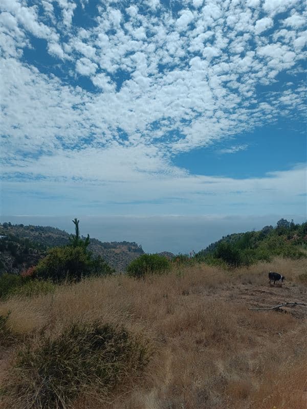 Condominio Los Arcos