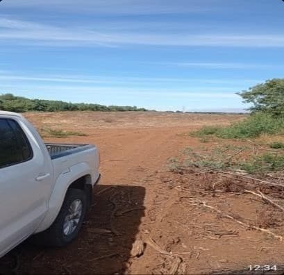 km 550 camino a Mulchén, comuna de Mulchén