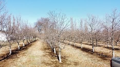 Camino Cartago, comuna de Pemuco