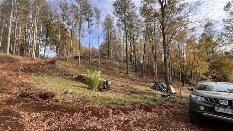 Aliro Canario / Pje Arriagada