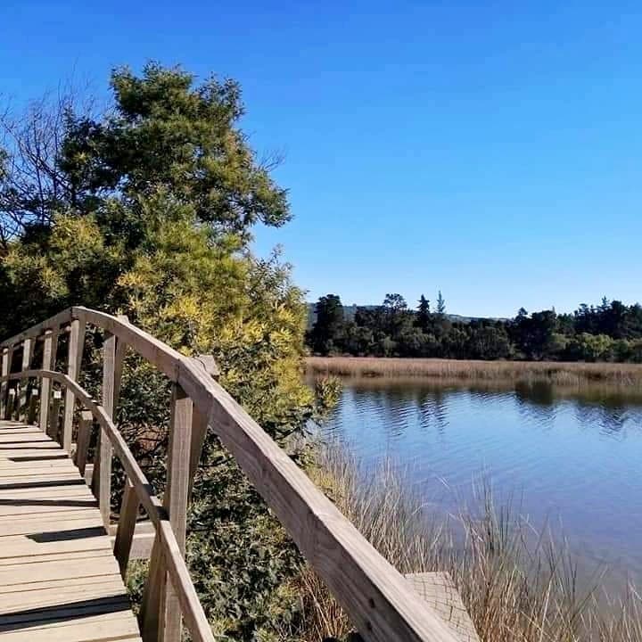 Cerca de Lago Vichuquen, Playa Llico y Reserva Nacional Laguna Torca 