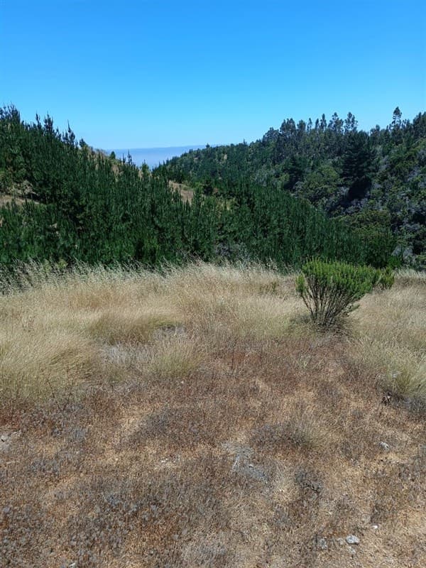 Condominio Los Arcos