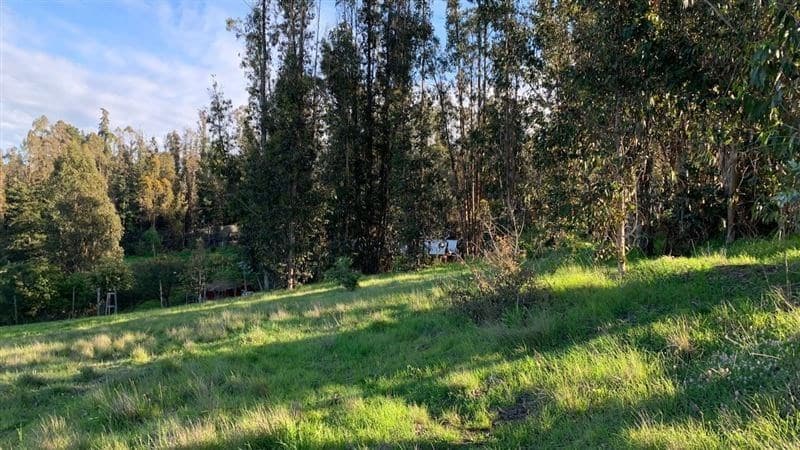 Sector El Tranque, San Juan