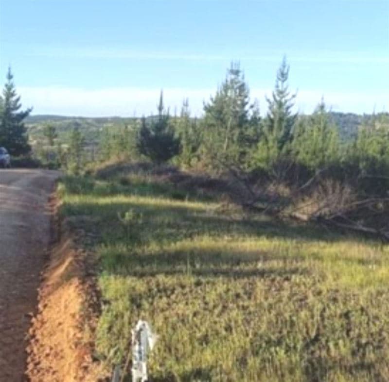 SAN PEDRO DE ALCANTARA 